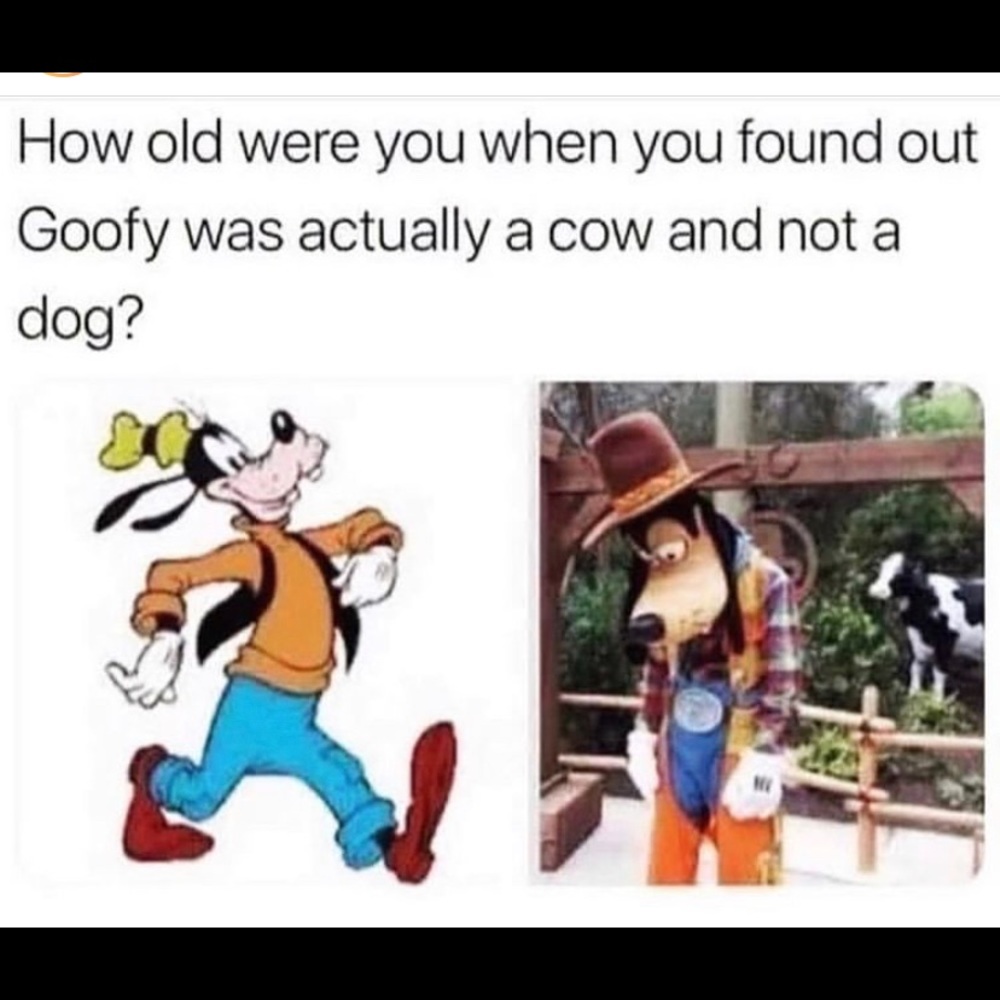 Meet your Posher, Steven